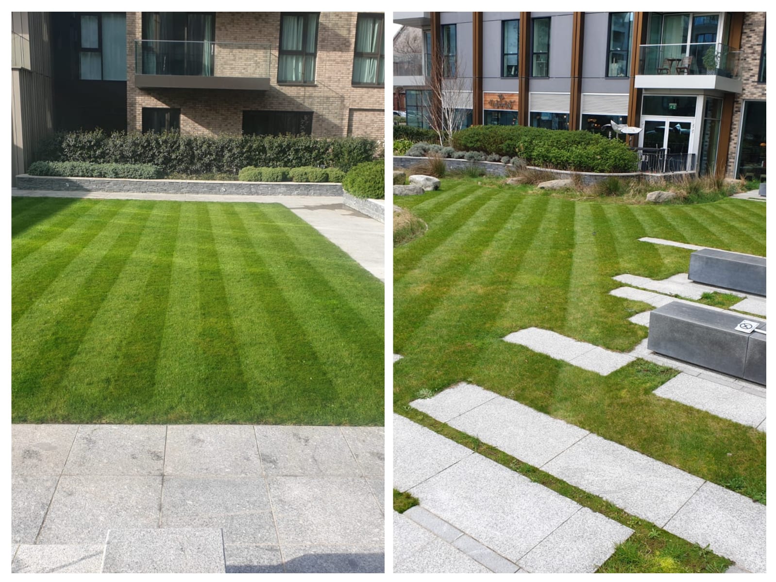 Striped lawn at residential block
